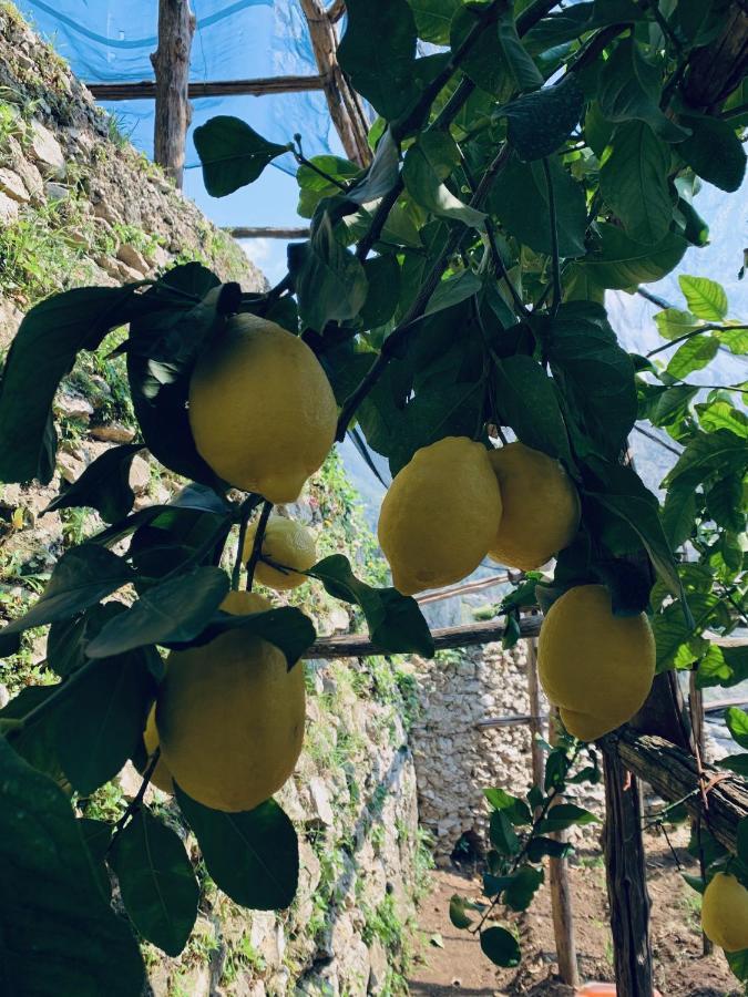 马奥莱Il Giardino Dorato别墅 外观 照片
