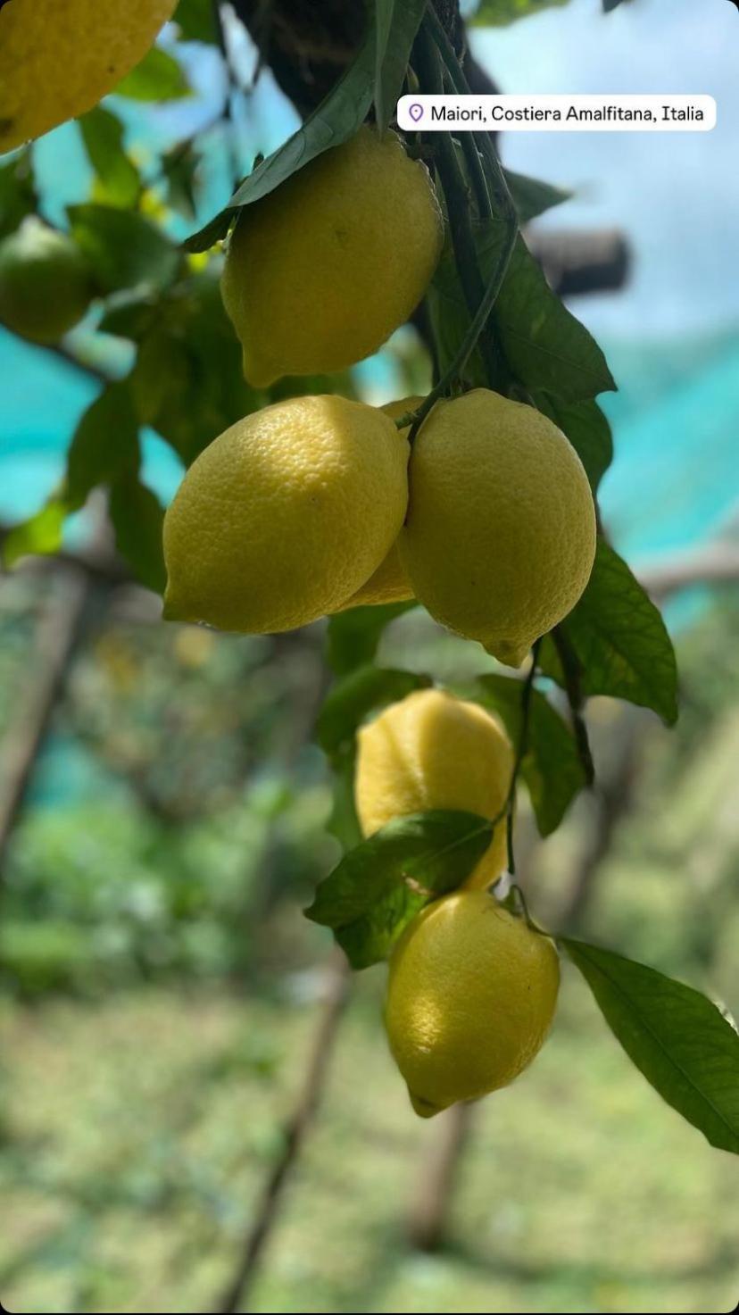马奥莱Il Giardino Dorato别墅 外观 照片
